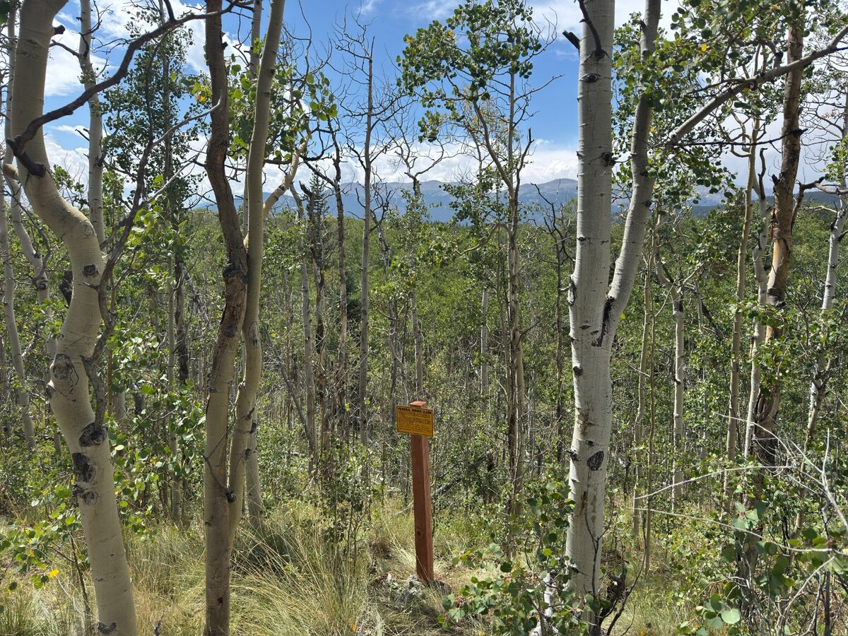 Mining claim marker in Colorado aspen grove with mountain views