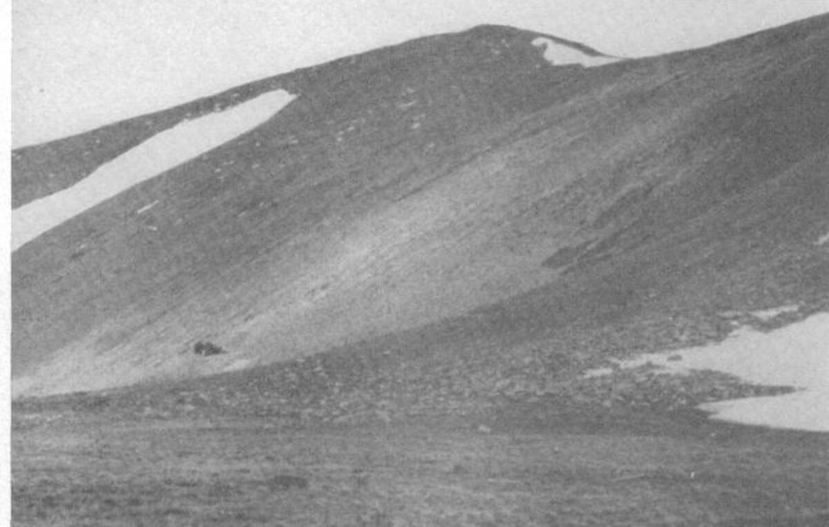 Historic USGS photograph of the steep talus slopes near the California mine in the Mount Antero region