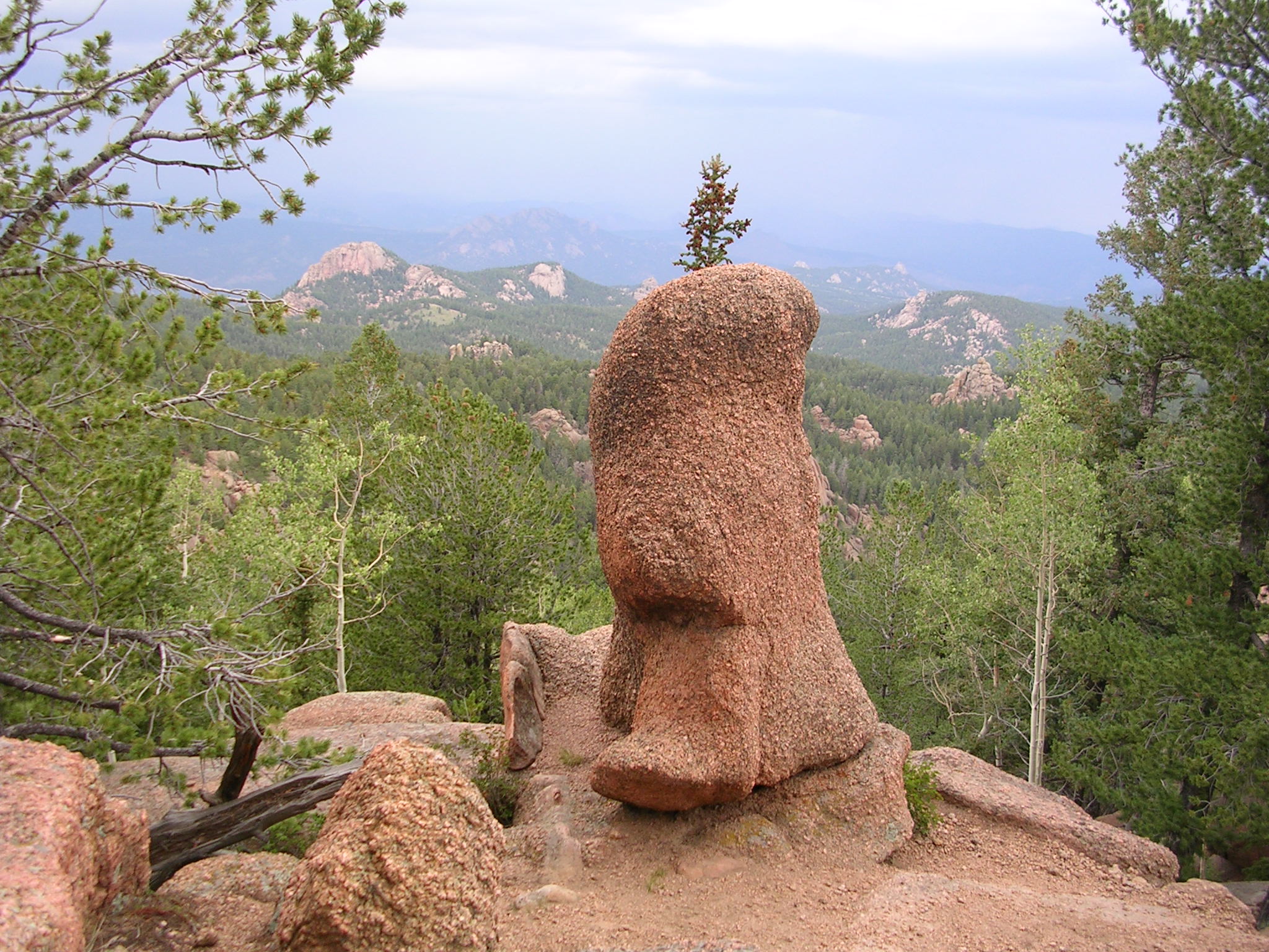Pikes Peak granite outcrop in the Rampart Range near Devil's Head, Colorado